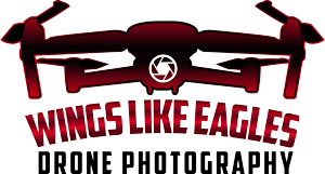 Wings Like Eagles drone photography logo